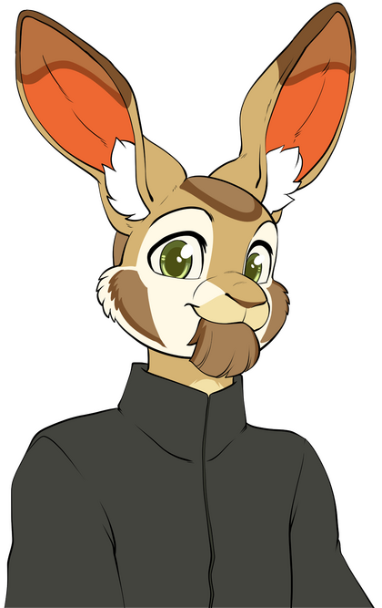 Hare&#39;s sweatshirt